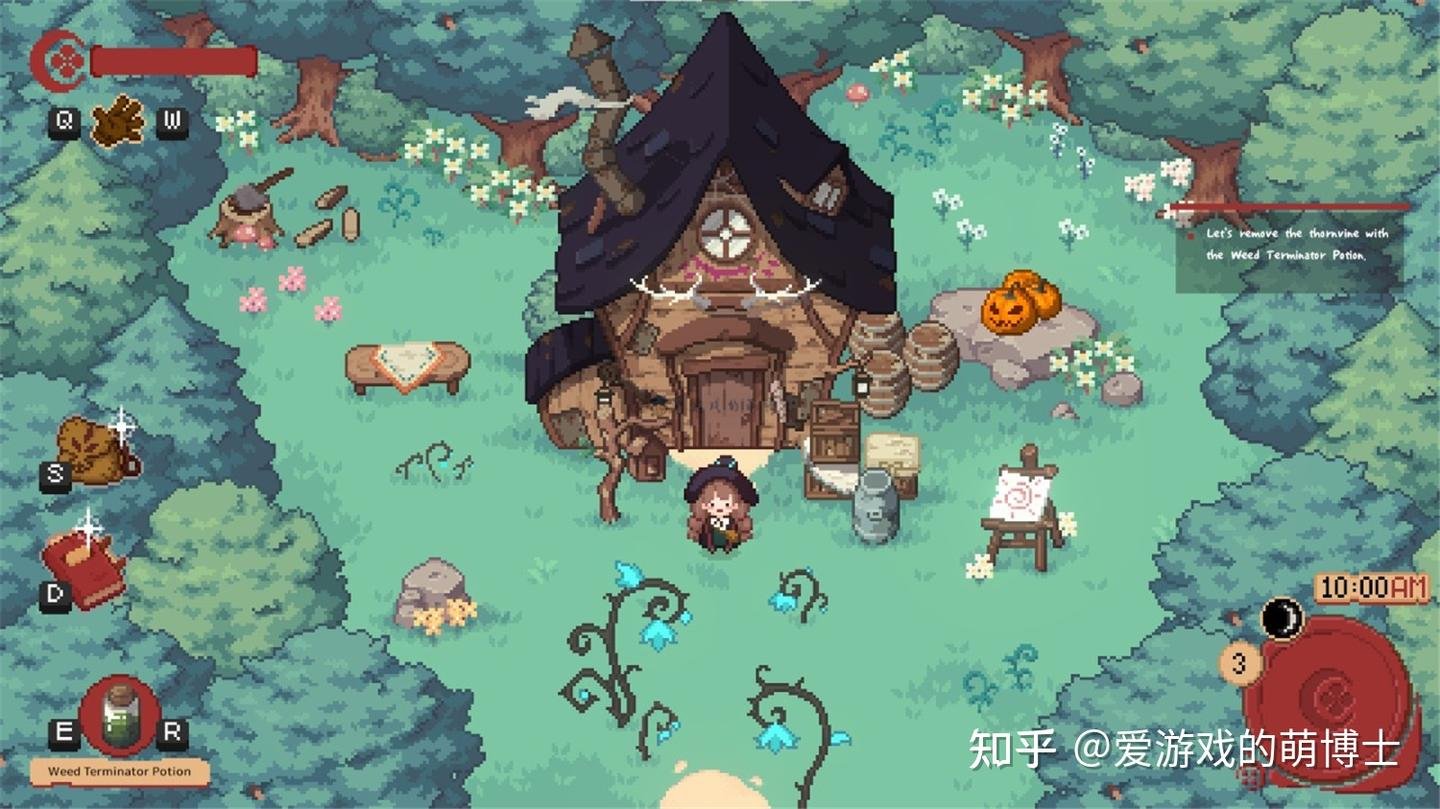 怪物猎人：世界 终极版 截图12