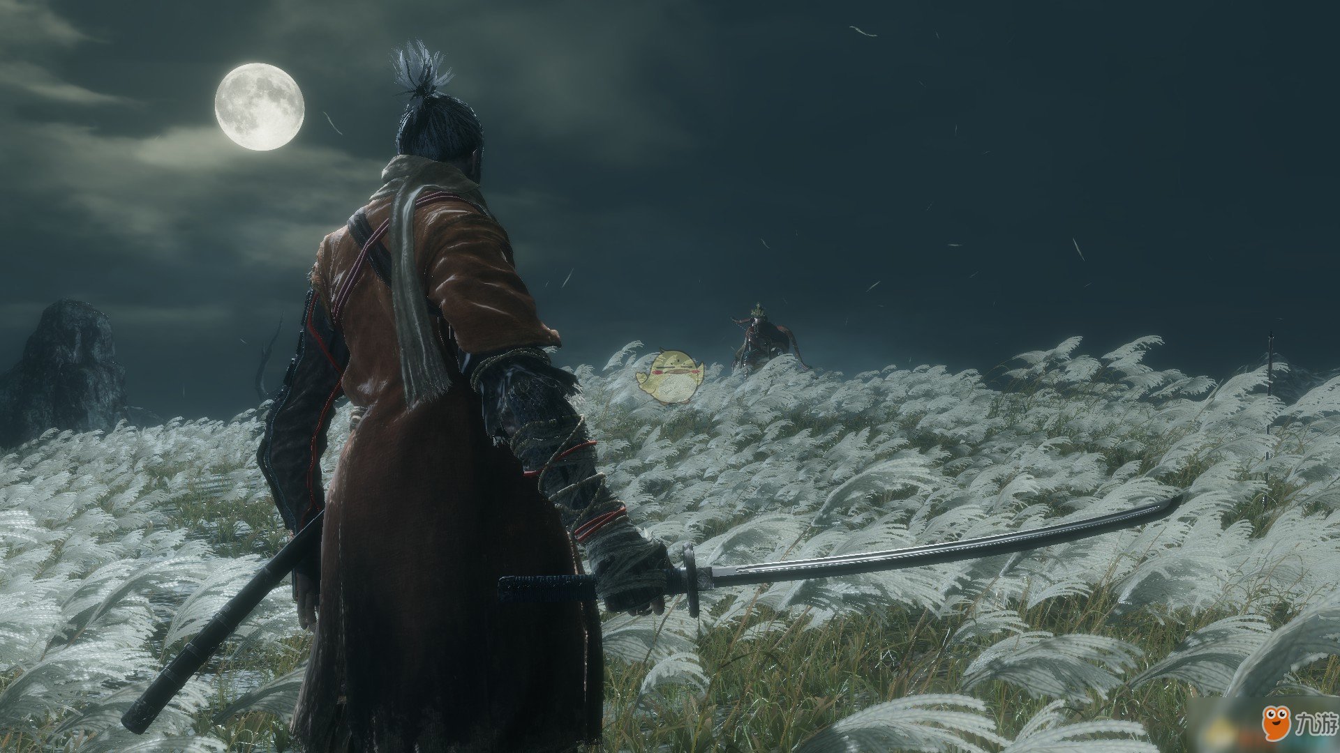 泰拉瑞亚 豪华版 截图8