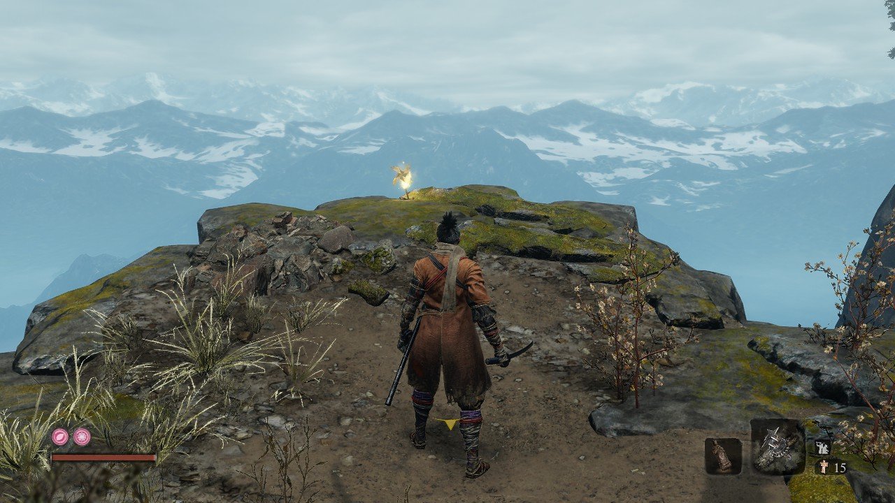 泰拉瑞亚 豪华版 截图12