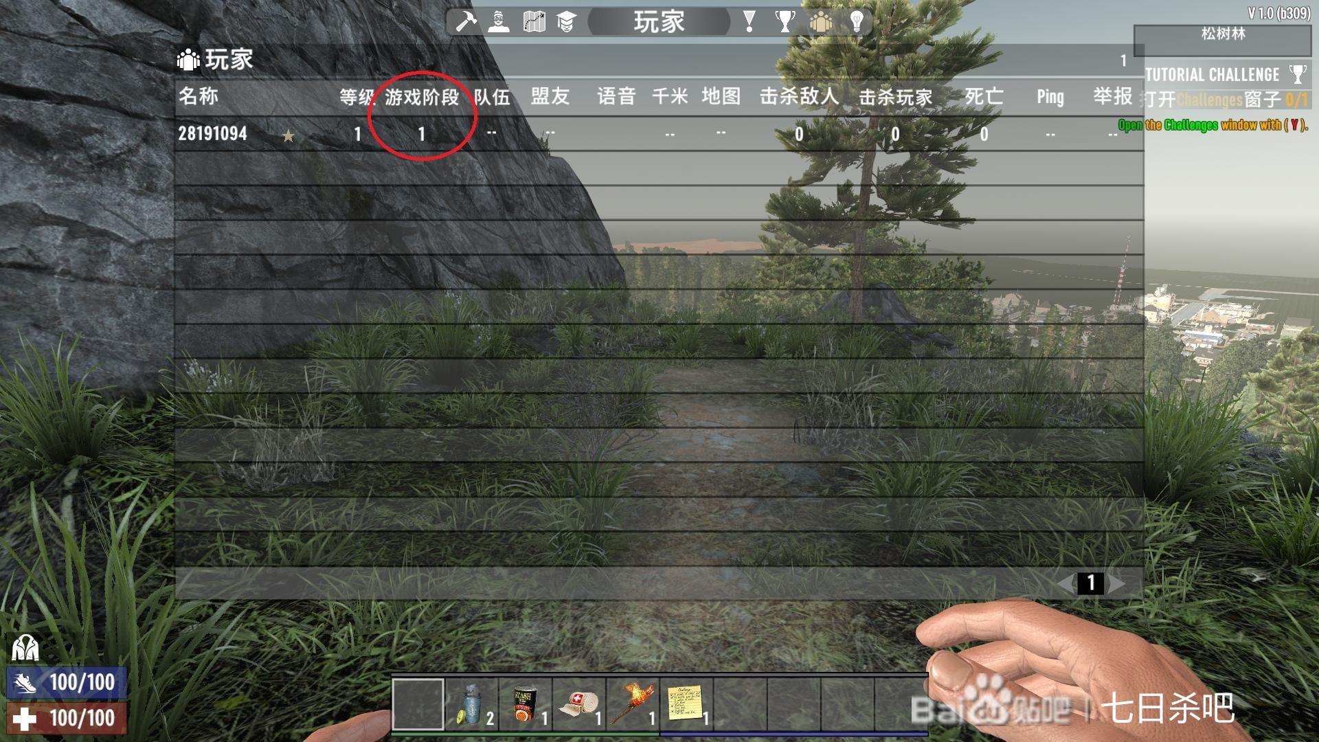 只狼：影逝二度 完整版 截图3