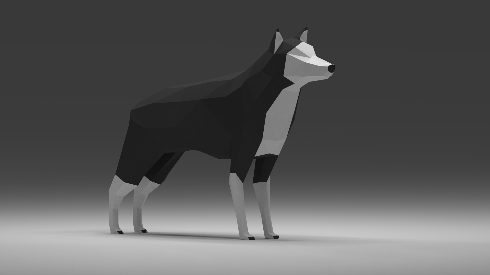 Уроки Blender3D - Создание Low-Poly волка